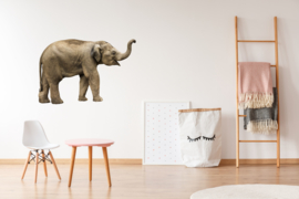 Muursticker olifant - Muurstickers dieren