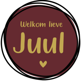 Geboortesticker full colour meisje met hartje en cirkels paars rood type Juul