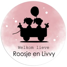 Geboortesticker full colour voor een tweeling meisjes type Roosje en Livvy