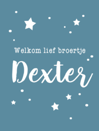 Geboortebord - Geboortebord raam met de tekst 'welkom lief broertje' type Dexter