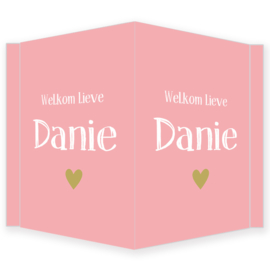 Geboortebord meisje - Geboortebord raam met de tekst "welkom lieve" type Danie.