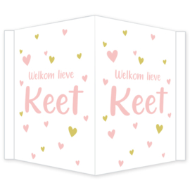 Geboortebord - Geboortebord raam met roze en goudkleurige hartjes type Keet