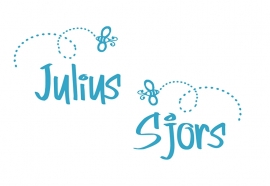 Geboortesticker  type Julius en Sjors