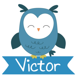 Geboortesticker jongen met een uil type Victor