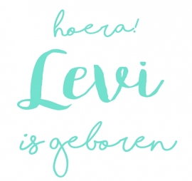 Geboortesticker type Levi