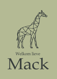 Geboortebord - Geboortebord oud groen met een giraf type Mack