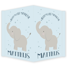 Geboortebord jongen - Geboortebord raam met  olifantje type Matthijs