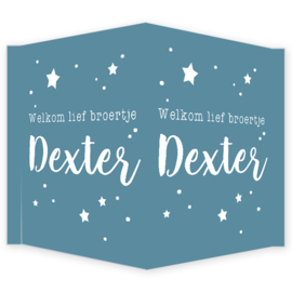 Geboortebord - Geboortebord raam met de tekst 'welkom lief broertje' type Dexter