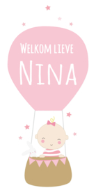 Geboortesticker met luchtballon full colour type Nina