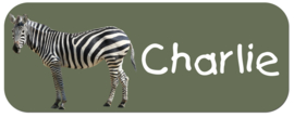 Naamstickers kind met wilde dieren 'zebra ' 48 stuks