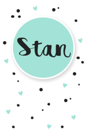 Geboortesticker full colour type Stan