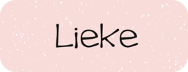 Naamstickers verfspetters zacht roze wit type Lieke 48 stuks