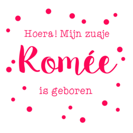 Geboortesticker met de tekst 'Welkom lief zusje' type Romée