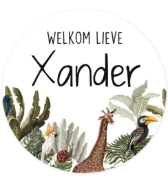 Geboortesticker full colour jungle voor een jongen type Xander