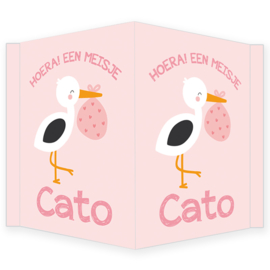 Geboortebord - Geboortebord raam roze met een ooievaar type Cato