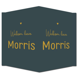 Geboortebord - Geboortebord donkerblauw met goudkleurige letters type Morris