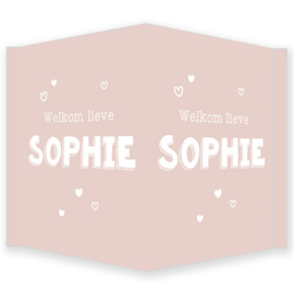 Geboortebord - Geboortebord raam oud roze met hartjes type Sophie