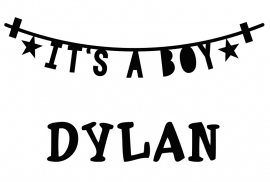 Geboortesticker it's a boy type Dylan