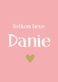 Geboortebord meisje - Geboortebord raam met de tekst "welkom lieve" type Danie.
