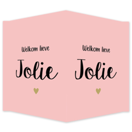 Geboortebord - Geboortebord raam met een hartje type Jolie