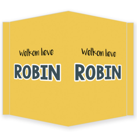Geboortebord jongen - Geboortebord raam okergeel en de tekst 'welkom lieve' type Robin.