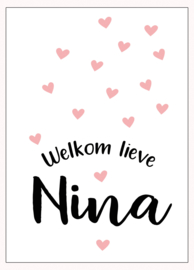 Geboortebord - Geboortebord raam met roze hartjes type Nina