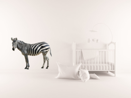 Muursticker zebra - Muurstickers dieren