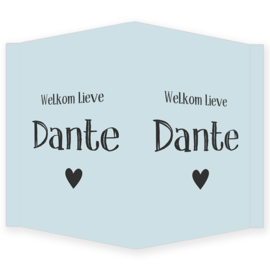 Geboortebord - Geboortebord raam lichtblauw met een hartje type Dante.