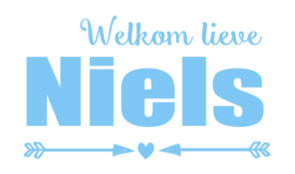 Geboortesticker met pijlen type Niels