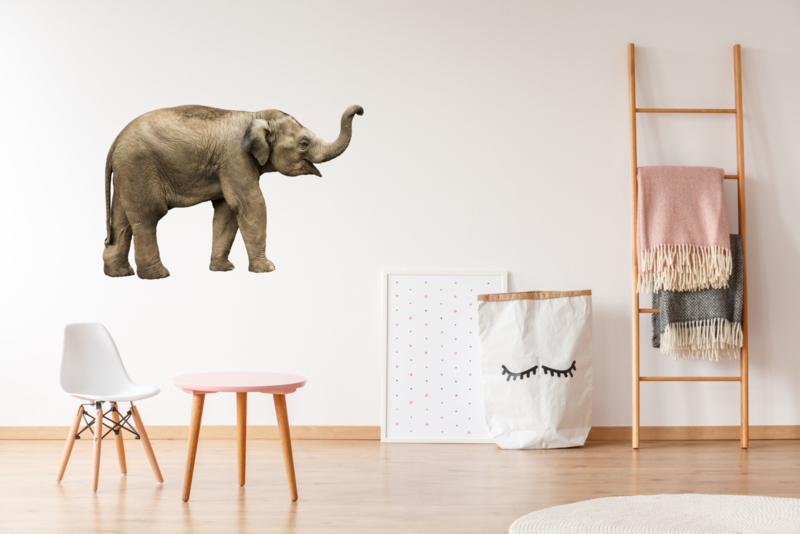 Onze onderneming Conflict hooi Muursticker olifant - Muurstickers dieren | Muurstickers dieren |  Geboortesticker Company