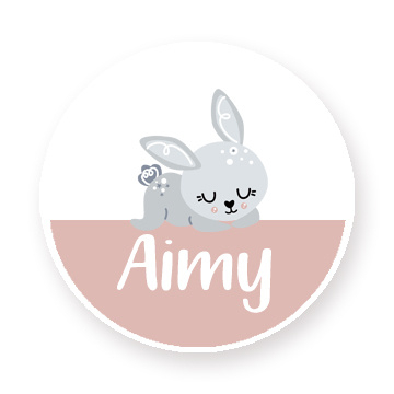 Schoenstickers met naam leuk konijntje type Aimy