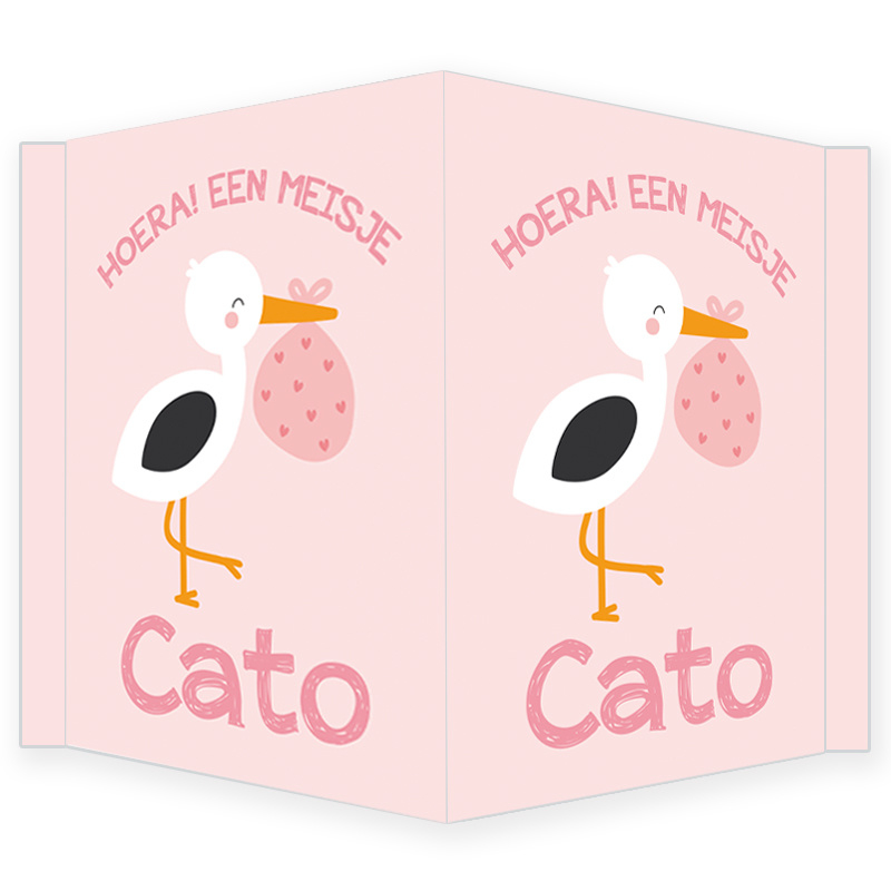 Geboortebord - Geboortebord raam roze met een ooievaar type Cato