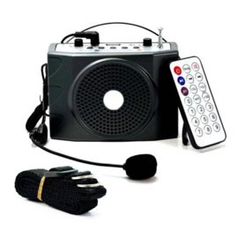 Mini Echo Amp + Microphone for Flutes