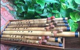 Erik the Flutemaker Kiowa Inspired Love Flute