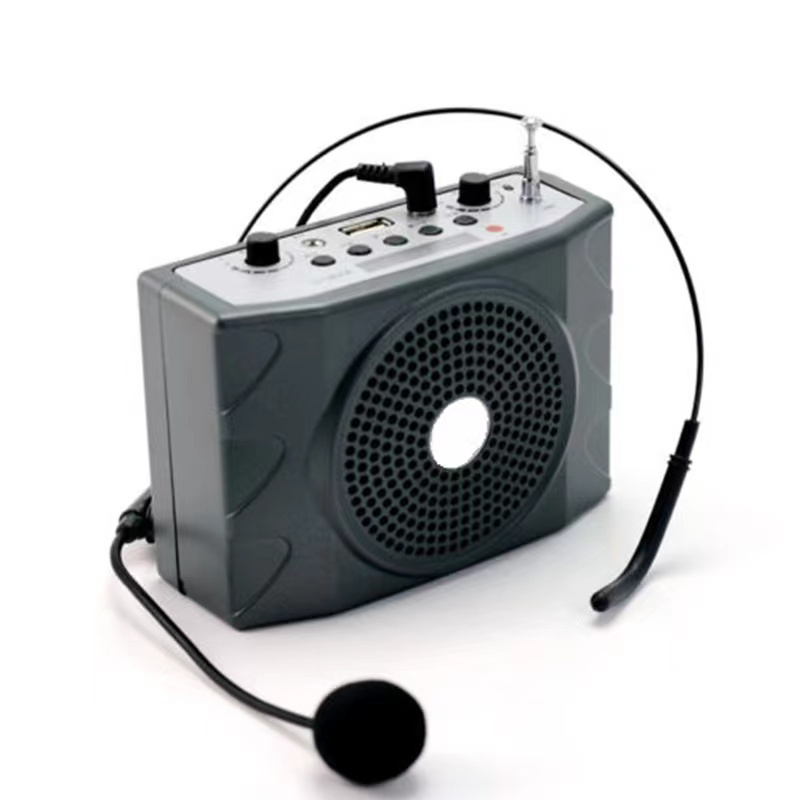 Mini Echo Versterker Microfoon voor blaasinstrumenten! | | Fluitwinkel.nl