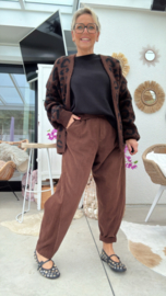Igna bruin