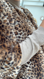 Minou Leopard