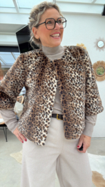Minou Leopard
