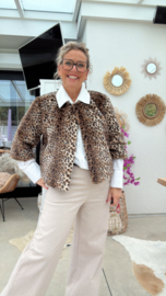 Minou Leopard