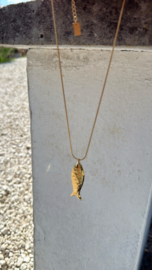 Vis korte ketting