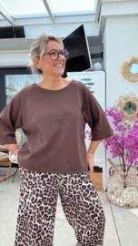 Zenda bruin
