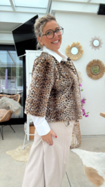 Minou Leopard