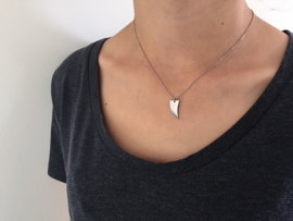 Silver tooth