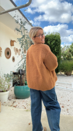 Vanessa camel