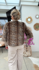 Minou Leopard