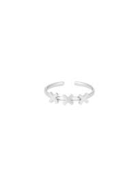XXX zilver