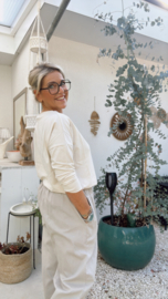 Anja Crème