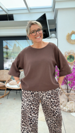 Zenda bruin