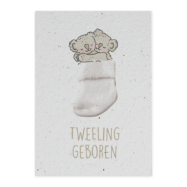 Groeikaart tweeling geboren koalas