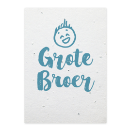 Groeikaart Grote Broer